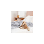 Peanuts® VelvetLoft® Cute Character Snoopy Plush Throw Blanket,Peanuts Poses and Paws Grey,Throw 55 in x 70 in (Official Peanuts® Product)