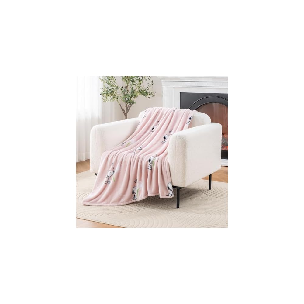 Peanuts® VelvetLoft® Cute Character Snoopy Plush Throw Blanket,Peanuts Poses and Paws Grey,Throw 55 in x 70 in (Official Peanuts® Product)